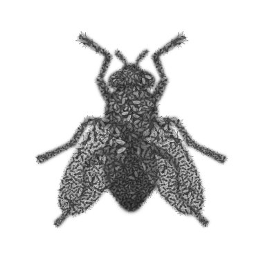 Alia Daval - Mouche infinie