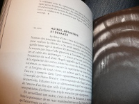 Les Larmes de Hegel, version imprimée