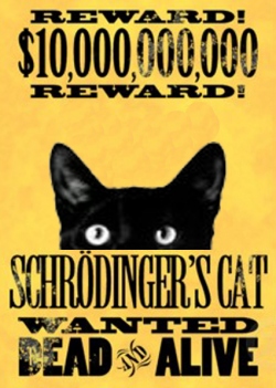 Schrödinger's cat